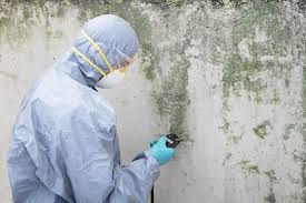 Best Post-Construction Mold Inspection  in Nanakuli, HI